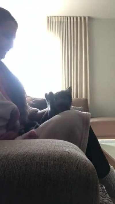 Slc ta potente demais