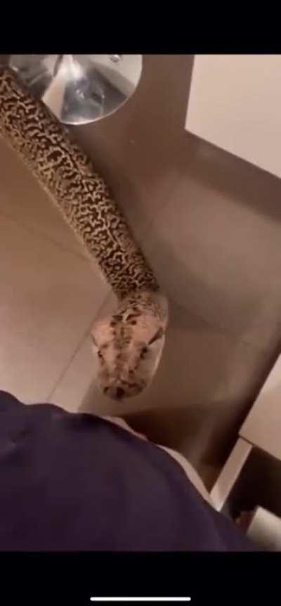 All types of Noodles