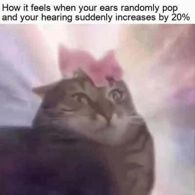 felt like chewing 5 gum