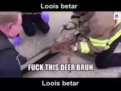 LOOIS BETAR 😳😳😳😳😳😳😳😳😳😄🙃🥸🤪😄🇲🇽🙏😜😎🥸😄😀😍😃😄😚🤪🤨😃🧐