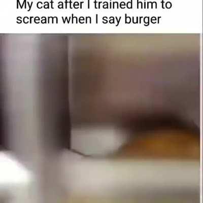 Day 83 of shitposting