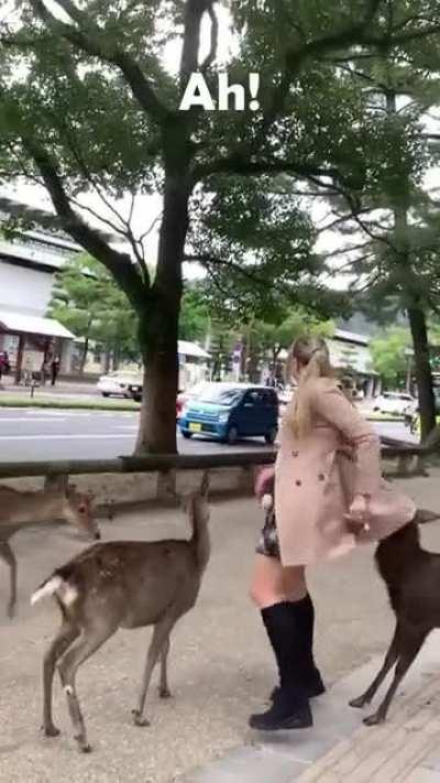 She got cornered 😂