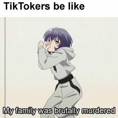 TikTokers be like