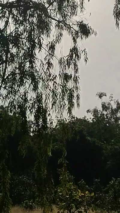 Zkn this is where I go for walks