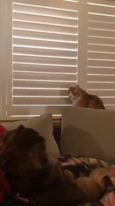 Yeah well I wanted them open anyway