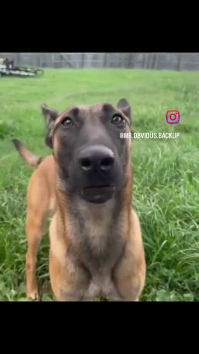 YABADOO 咯咯咯誒呱咯咯咯誒誒 一定 🔥🔊🙏🏻