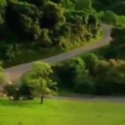 Apenas um carro passeando meus amigos. Confia 👍