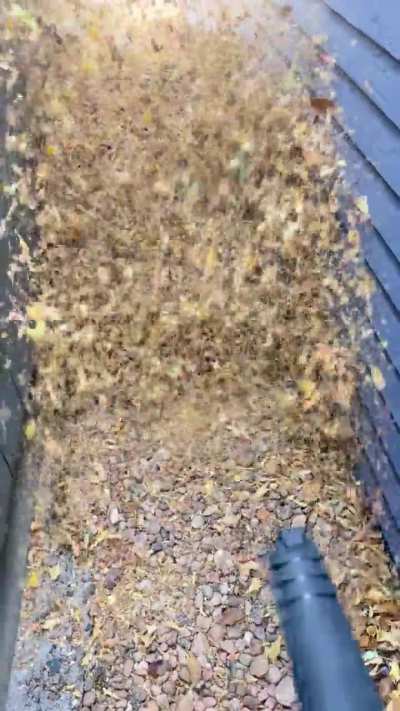 The best part about this fall chore