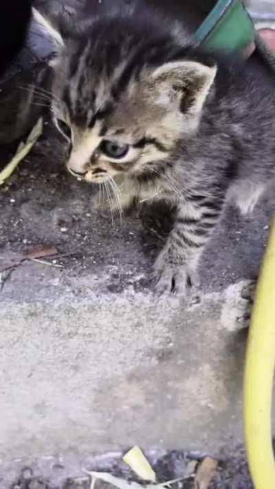 She has some opinions to share