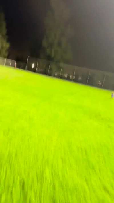 People who think they can outrun a dog, but it has 3 legs.