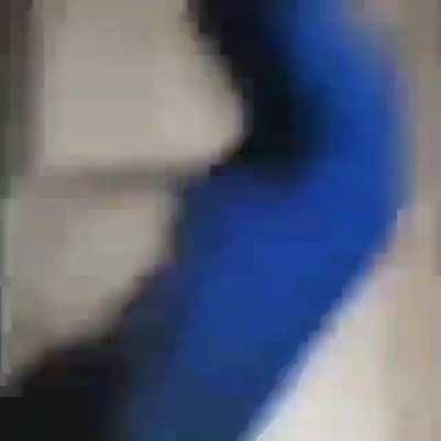 What in aviary vocalization