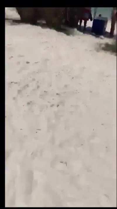 To sunbathe peacefully.