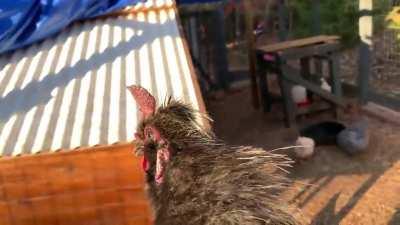 struggling to get that one out haha