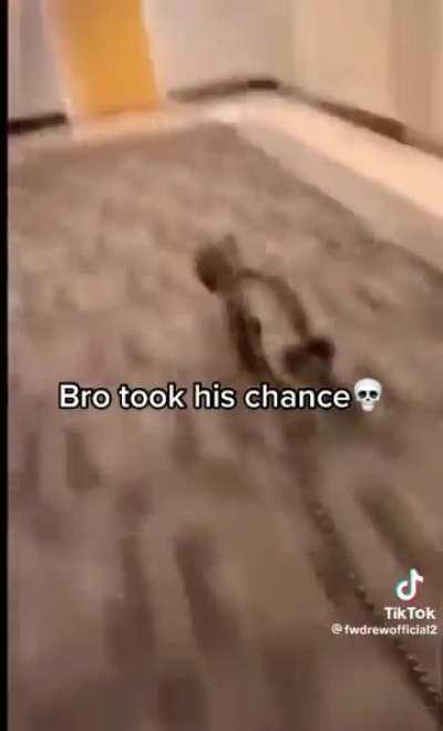 The moment Pred became a Free agent