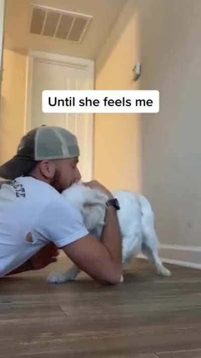 The way this guy wakes his deaf and blind dog is just heartwarming