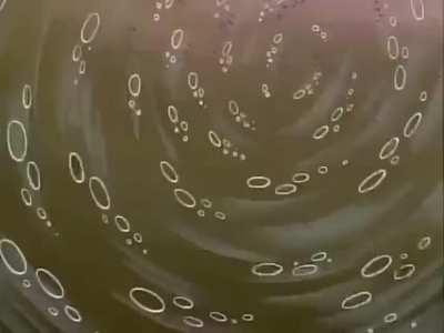 Here is a full spongebob episode 