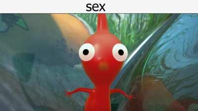 sex