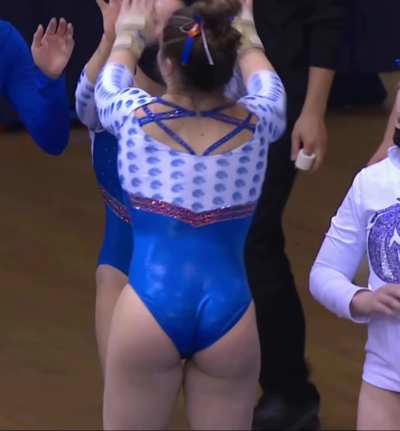 The Field Of Gymnastics