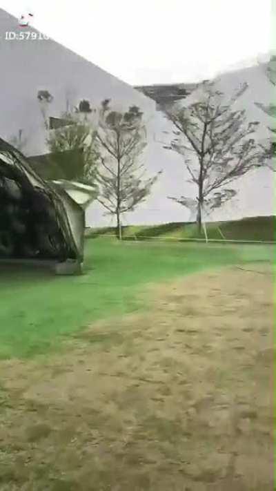 祖国绿化的效率就是高就是高就是高