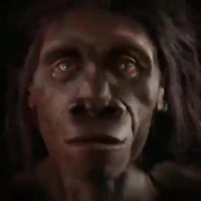 Retorne imediatamente