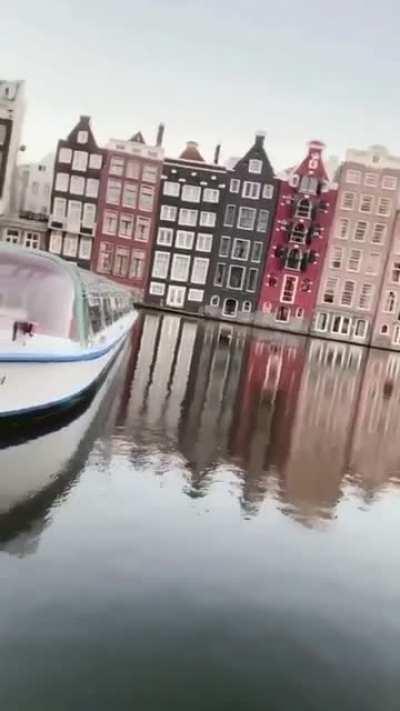 I don't understand wtf is happening here.