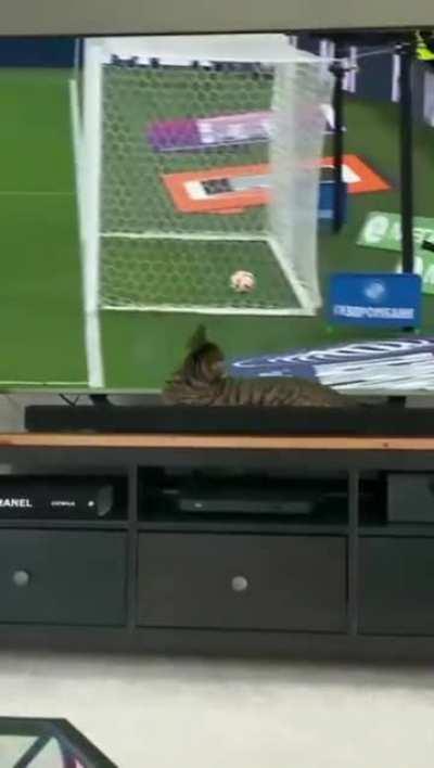 Why is foot balls such an aggressive sport? Is it stupid?