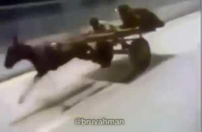 Made In Heaven's when they see you lmb them while they ran infront of you