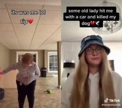 Why would she post her dog's death on tiktok?