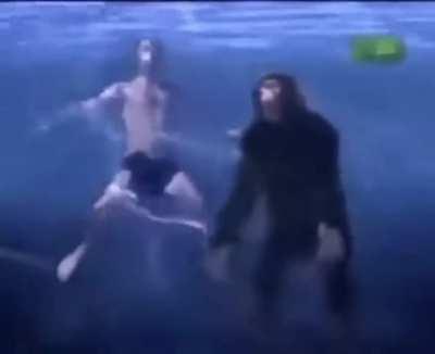In water, chimps will drown