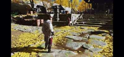 Hey lady there’s a...nevermind [video]