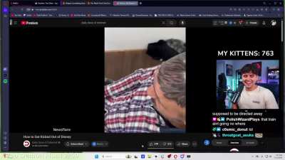 ThatsTheBruh Reaction to Daily Dose Of Internet How To Get Kicked Out Of Disney