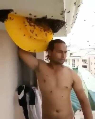 Just Bee Yourself They Said... Lol