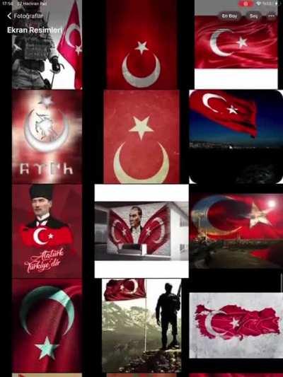 Hi guys today i wanted to show this cute cat.