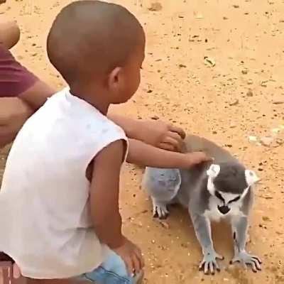 He said, scratch some more..!