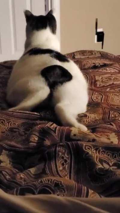 Thanks, I hate this stub moves