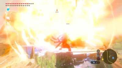 Yiga foot soldier took one for the team 😔😔