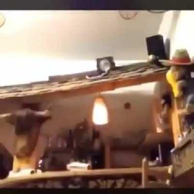 My ranks when I try to play ranked after a 2 month break 😍