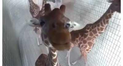 Best pose for the camera.