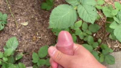 Cumshot out behind my house