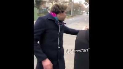 Friends version funa AMV