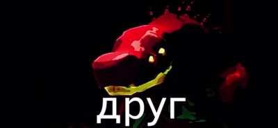 Out of your friends which are you?