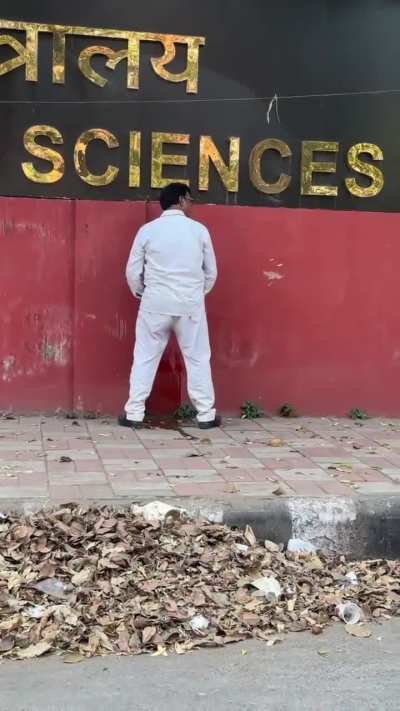 Civic Sense at its peak