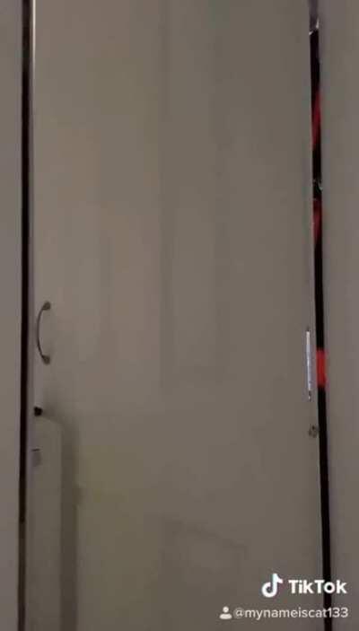 Which is your favourite goth outfit?