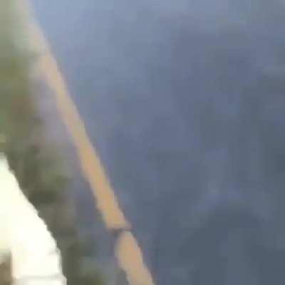 That's it, your gator privileges are forfeit 