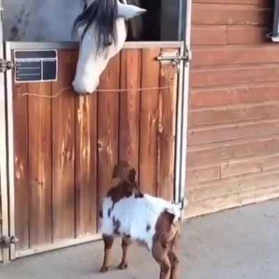 Интересное знакомство