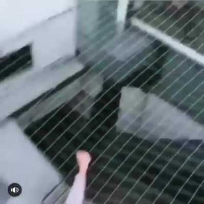 playing stupid games