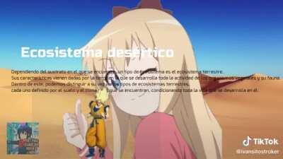 Wachines les gusta mi trabajo? El profe me puso un parte