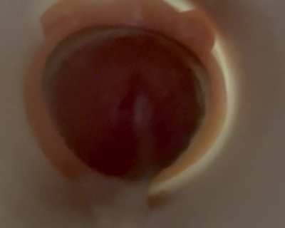 My moaning matches the pulses of cum getting squeezed out