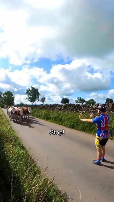 Stop them? Are you mad?