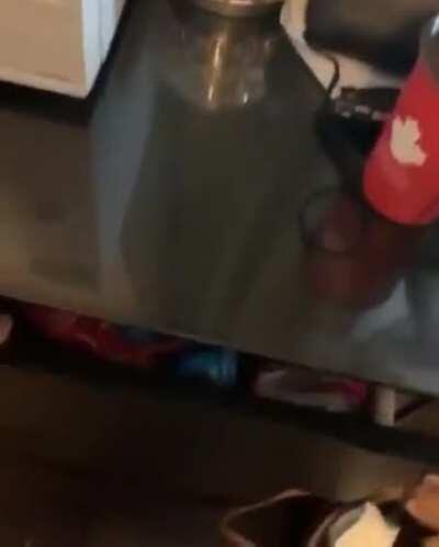 Visionary Girlfriend